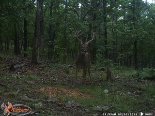 Property photo 8 - REAL ESTATE AUCTION - 1,000+/- ACRES OFFERED IN 10 TRACTS IN PITTSBURG CO., OKLAHOMA